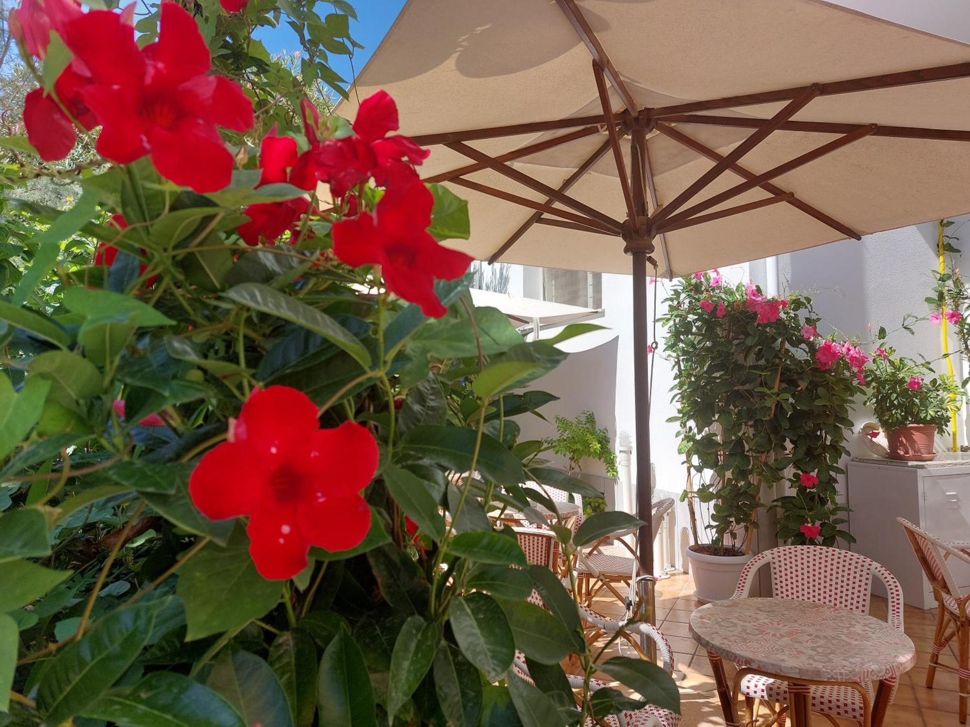 Hotel Driade Sul Mare Rimini Ngoại thất bức ảnh